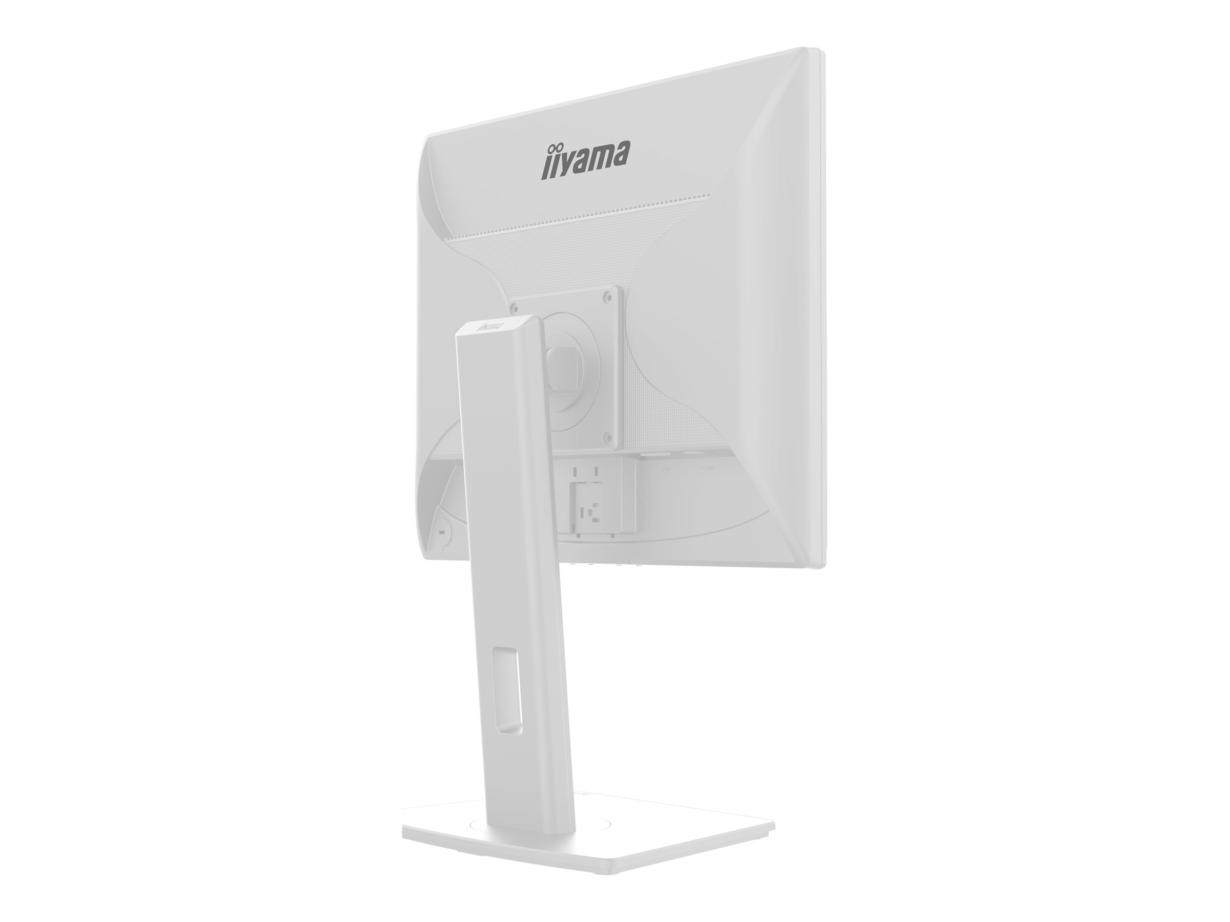 Iiyama ProLite B1980S-W1 - LED-Monitor - 48 cm - 1280 x 1024 @ 75 Hz - TN - 250 cd/m² - 1000:1 - 3 ms - HDMI - DisplayPort - Lautsprecher - weiß - Matte