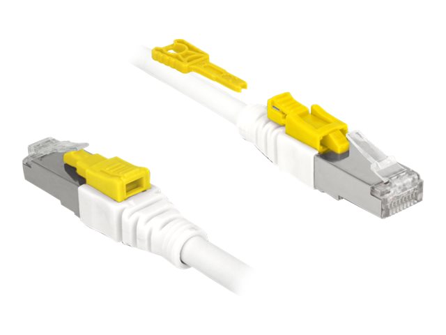 Delock Secure - Patch-Kabel - RJ-45 (M) zu RJ-45 - 2 m - STP - CAT 6a - halogenfrei - weiß