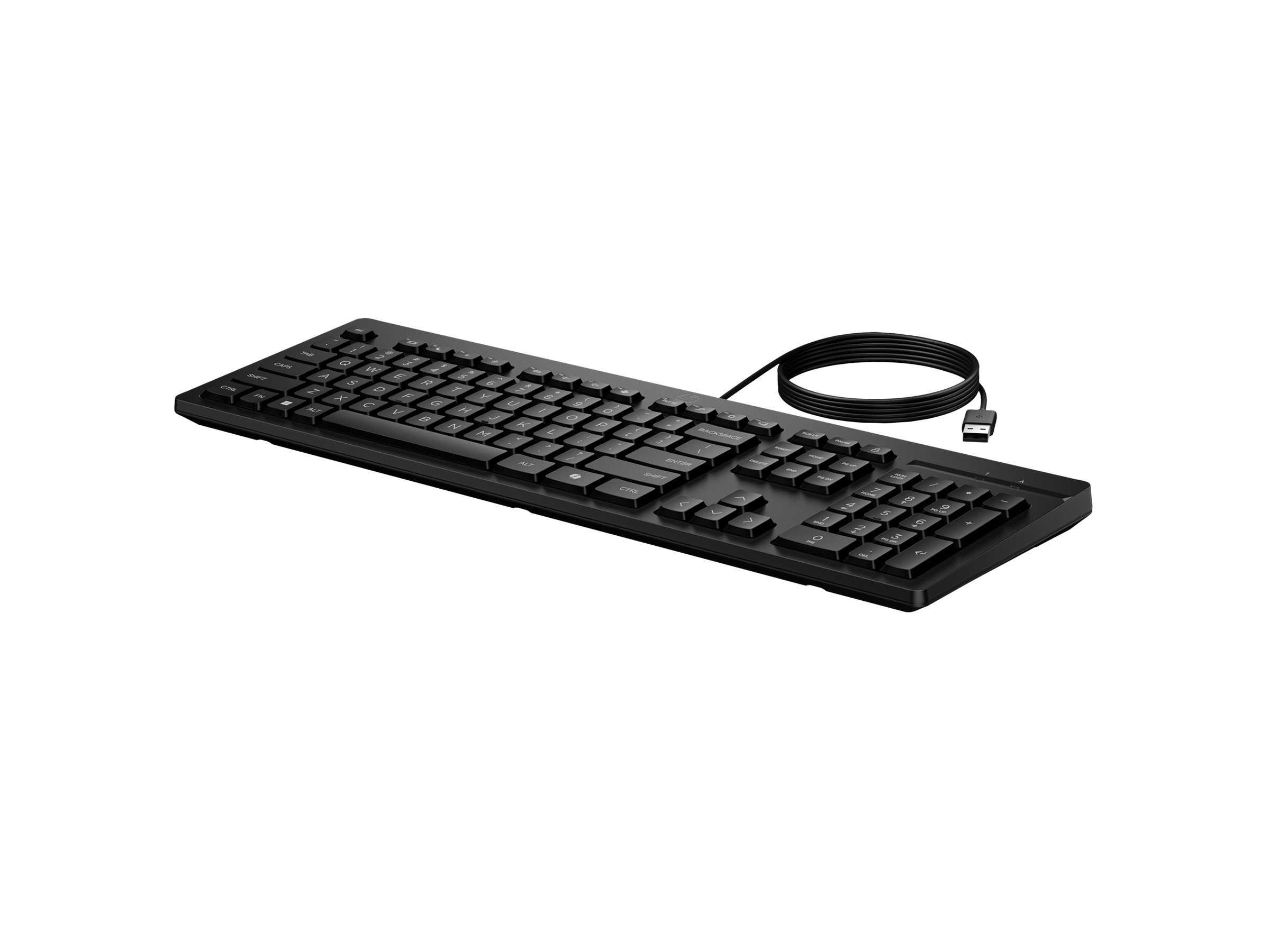 HP 125 G2 - Tastatur - 100% - full size - USB - full size - USB - Schwarz