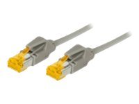 Tecline exertis Connect Dätwyler - Patch-Kabel - RJ-45 (M) - zu RJ-45 (M) - 3 m - SFTP - CAT 6 - geschirmt - ohne Haken - Grau