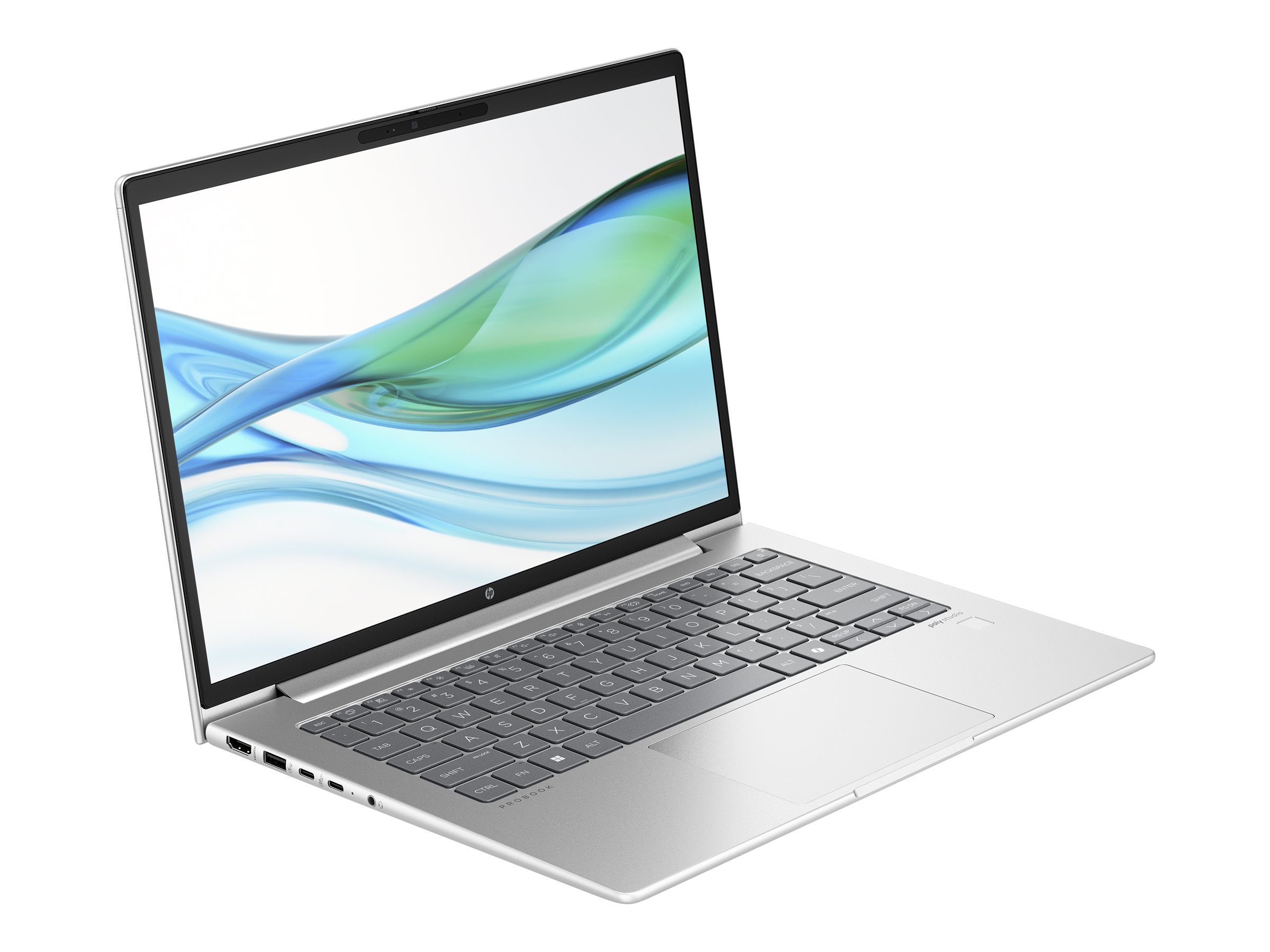 HP ProBook 445 G11 Notebook - AMD Ryzen 5 7535U - IPS 1920 x 1200 - Wi-Fi 6E - Bluetooth - Hecht-silberfarben - kbd: Deutsch - mit HP Wolf Pro Security Edition (1 Jahr)