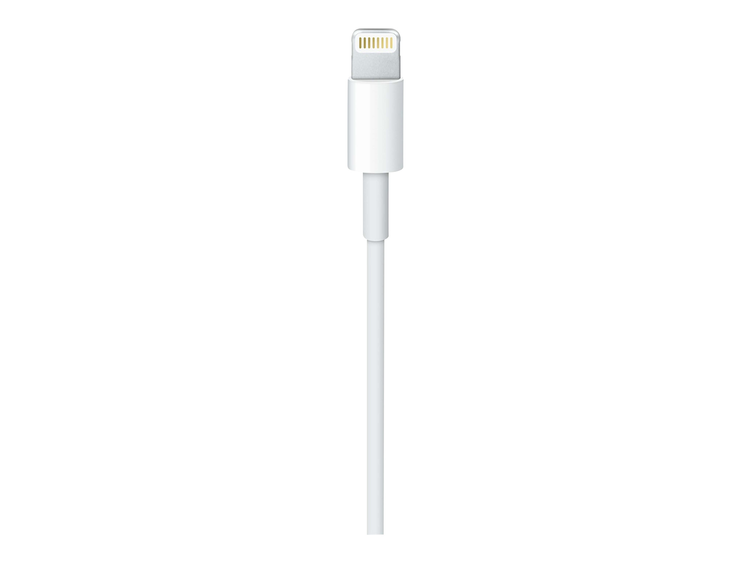 Apple USB-C to Lightning Cable - Lightning-Kabel - 24 pin USB-C männlich zu Lightning männlich - 1 m