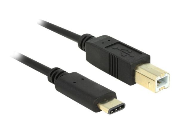 Delock USB-Kabel - USB-C (M) bis USB Typ B (M)