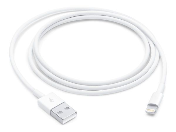 Apple Lightning-Kabel - Lightning männlich zu USB männlich