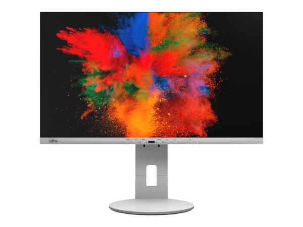 Fujitsu B2410 TE - LED-Monitor - 60.5 cm (23.8")