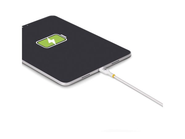 StarTech.com 2m USB C Charging Cable, USB-IF Certified USB-C Cable, 240W - USB-Kabel - 24 pin USB-C