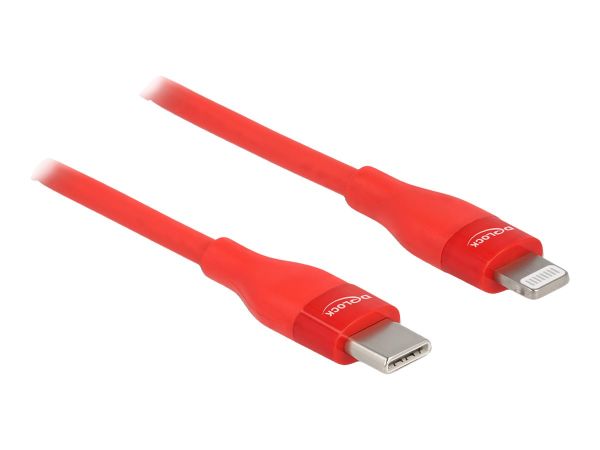 Delock Lightning-Kabel - 24 pin USB-C männlich zu Lightning männlich