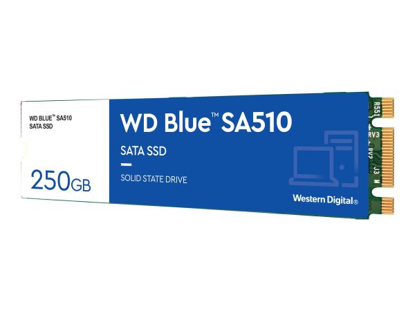 WD Blue SA510 WDS250G3B0B - SSD - 250 GB - intern