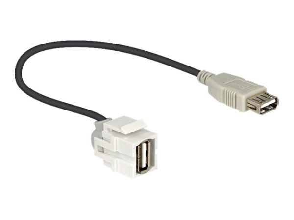 Delock Modulare Eingabe - USB Type A
