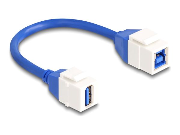 Delock USB-Kabel - USB Typ A (W) Keystone zu USB Type B (W)