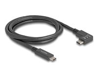 Delock USB-Kabel - 24 pin USB-C (M) zu 24 pin USB-C (M)