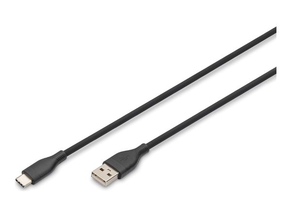 DIGITUS USB-Kabel - USB (M) zu 24 pin USB-C (M)