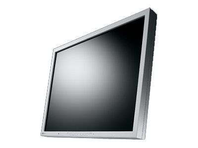 EIZO FlexScan S2133-GY - LED-Monitor - 54 cm (21.3")