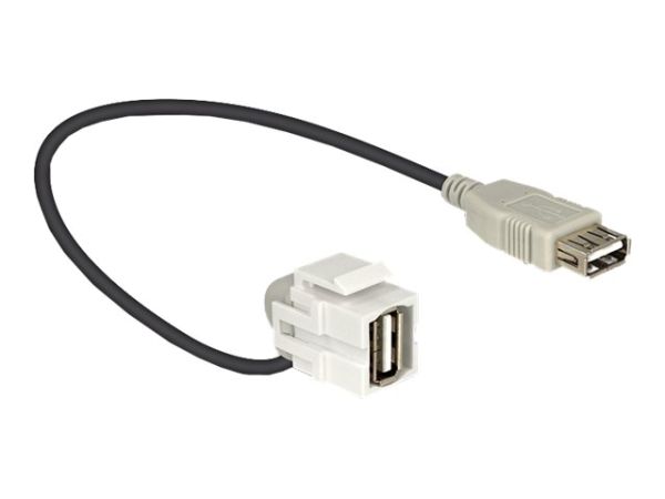 Delock Modulare Eingabe - USB Type A