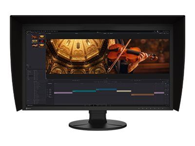 EIZO ColorEdge CG3100X - LED-Monitor - 78.7 cm (31")