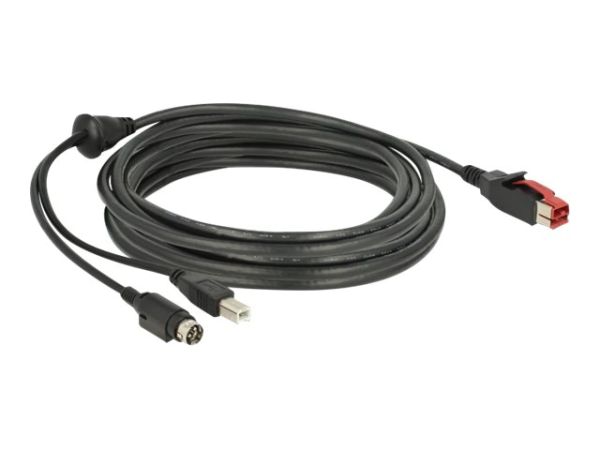 Delock Powered USB-Kabel - USB PlusPower (24 V)