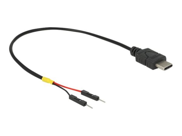 Delock USB- / Stromkabel - 24 pin USB-C (M)