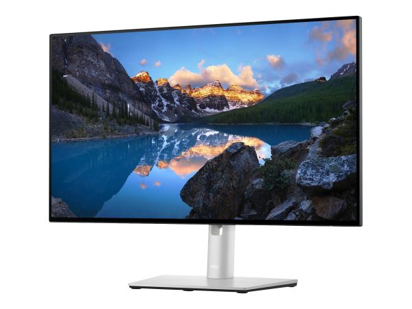 DELL UltraSharp U2422H, 61 cm (24 Zoll), 1920 x1080 Pixel, Full HD, LCD, 8 ms, Schwarz, Silber