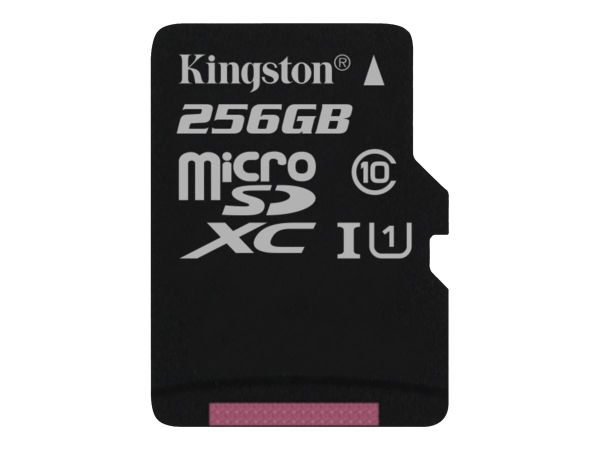 A0884193_KINGSTON-T Kingston Technology Canvas Select Speicherkarte 256 GB MicroSDXC Klasse 10 UHS-I_SDCS/256GBSP_1