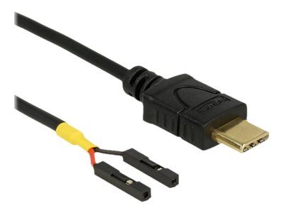 Delock USB-Kabel - USB-C (M) bis 2-poliger USB-Header (W)