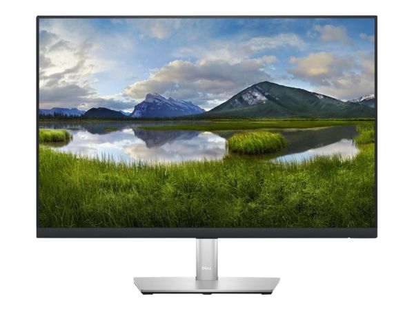 Dell P2423 - LED-Monitor - 61 cm 24 Zoll