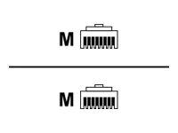 Tecline exertis Connect - Patch-Kabel - RJ-45 (M) zu RJ-45 (M)