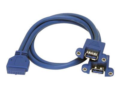 StarTech.com 2 Port USB 3.0 Pinheader Kabel - USB A auf Mainboard Header Kabel - Bu/Bu - USB-Kabel i