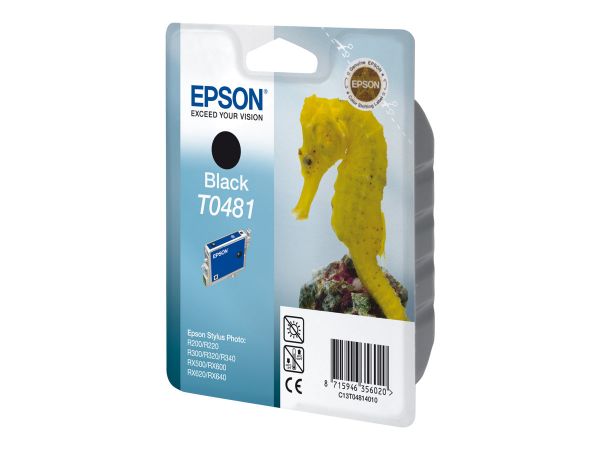 Tintenpatrone T0481 schwarz für Stylus Photo R300/RX500