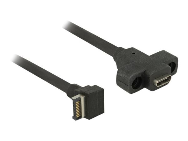 Delock USB-Kabel intern auf extern - 20-poliger USB 3.0 Kopf (M)