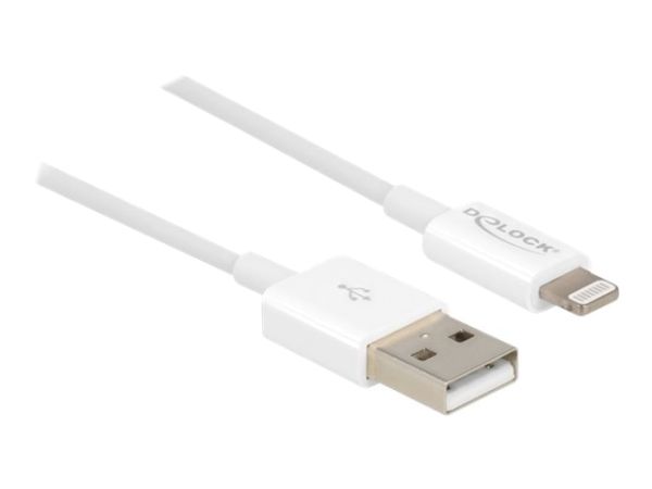 Delock Lightning-Kabel - Lightning männlich zu USB männlich