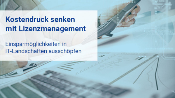 lizenzmanagement_kostendruck