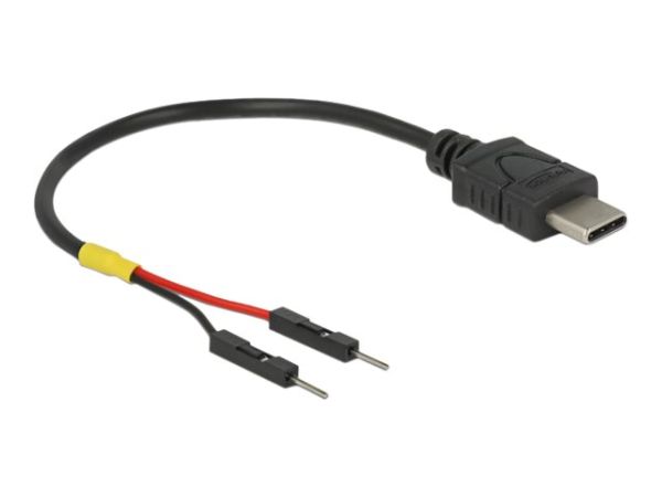 Delock USB- / Stromkabel - 24 pin USB-C (M)