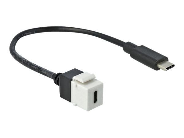 Delock Keystone module - USB-Kabel - 24 pin USB-C (W)