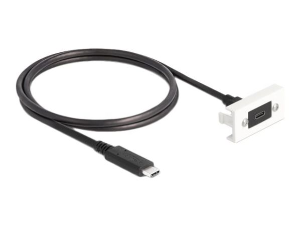 Delock USB-Kabel - 24 pin USB-C (W) zu 24 pin USB-C (M)