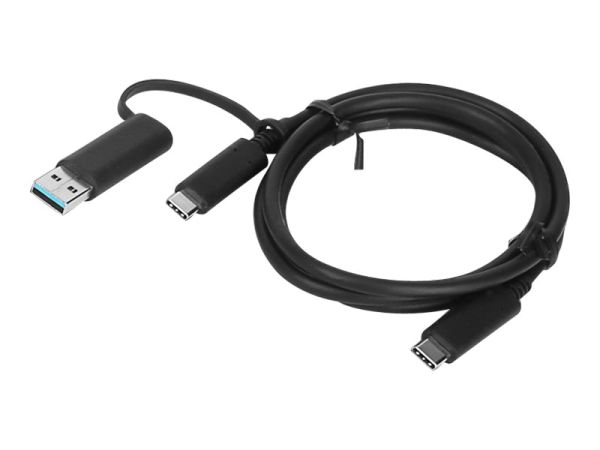 Lenovo USB-Kabel - 24 pin USB-C (M) zu 24 pin USB-C (M)