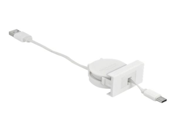 Delock USB-Kabel - USB (M) zu USB-C (M) - USB 2.0