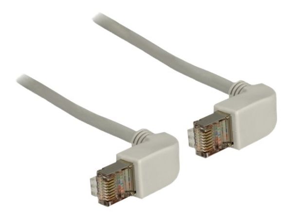 Delock Patch-Kabel - RJ-45 (M) bis RJ-45 (M)