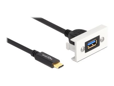 Delock USB-Kabel - USB (W) zu USB-C (M) - USB 3.2 Gen 2