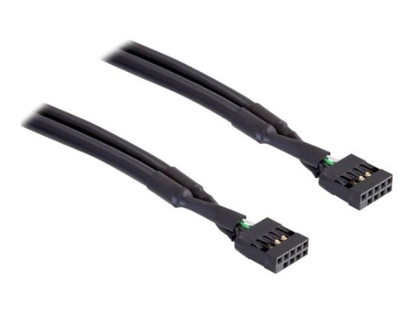 Delock USB-Kabel - 10-poliger USB-Header (W)