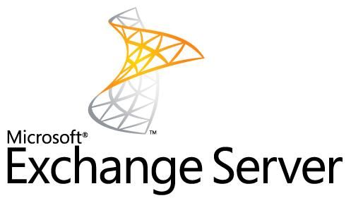 OPEN GOV MS-Exchange ENT CAL ohne Services SA