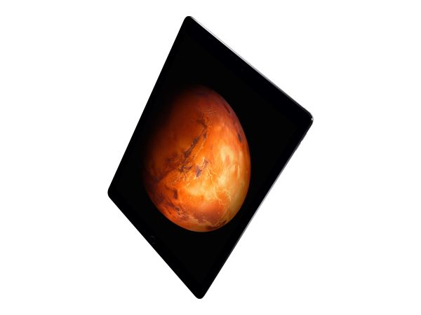 iPad Pro 256 GB Grau - 12,9" Tablet - 0,85 GHz 32,8cm-Display